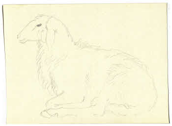 Visualizza l'immagine "FD D 207"